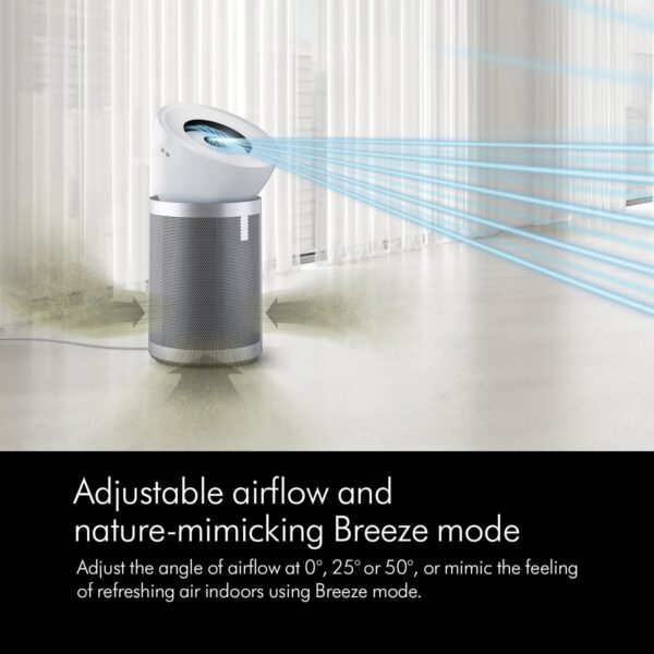 Dyson Air Purifier Big+Quiet